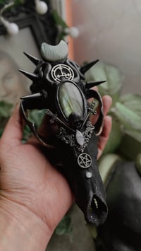 Image 1 of Lilith coyote skull alter piece 