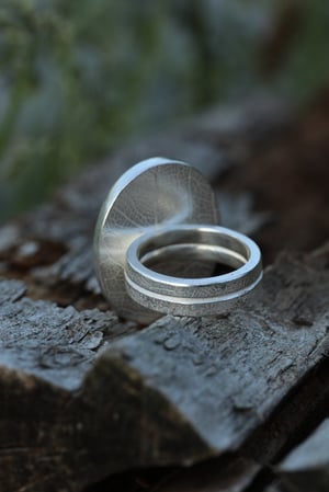 Image of Moss collector ring