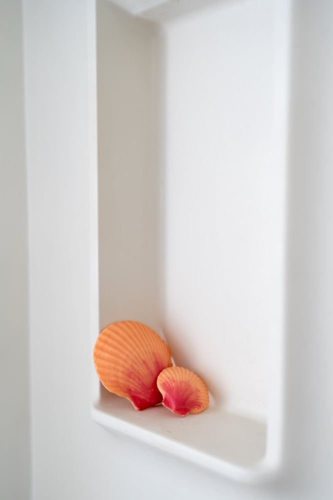Image of Sunrise Shell Bar Soap