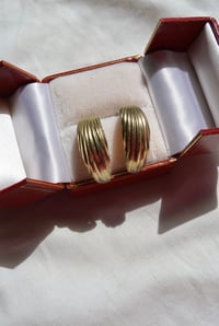 Image 1 of ti leaf earrings 