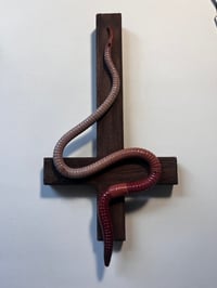 Image 3 of Wall Worm Crosses (upright & inverted)