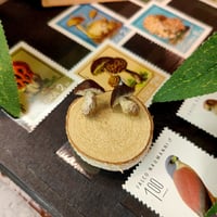 Image 3 of Kolczyki wkrętki z grzybkami 🍄