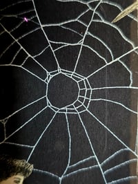 Image 5 of Statement "Crescent Moon"  1897 Taxiderny orbweaver Spider & Preserved Web