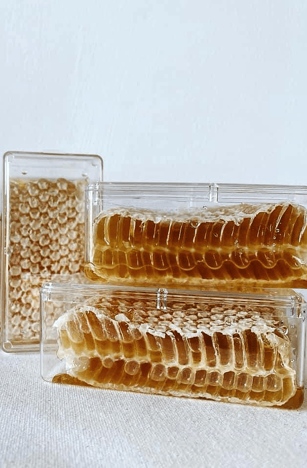 cut comb honey 
