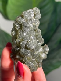 Image 3 of BOWTIE PREHNITE -INDIA- I