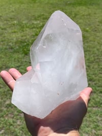 Image 11 of Clear Quartz Points Cluster #1187