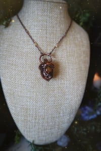 Image 6 of Harvest Moon Acorn 