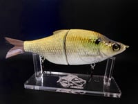 Image 2 of 7” Shad Glide