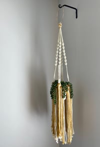 Image 2 of Yellow Fringed Plant Hanger 