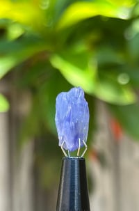 Image 4 of Tanzanite Specimen #2431