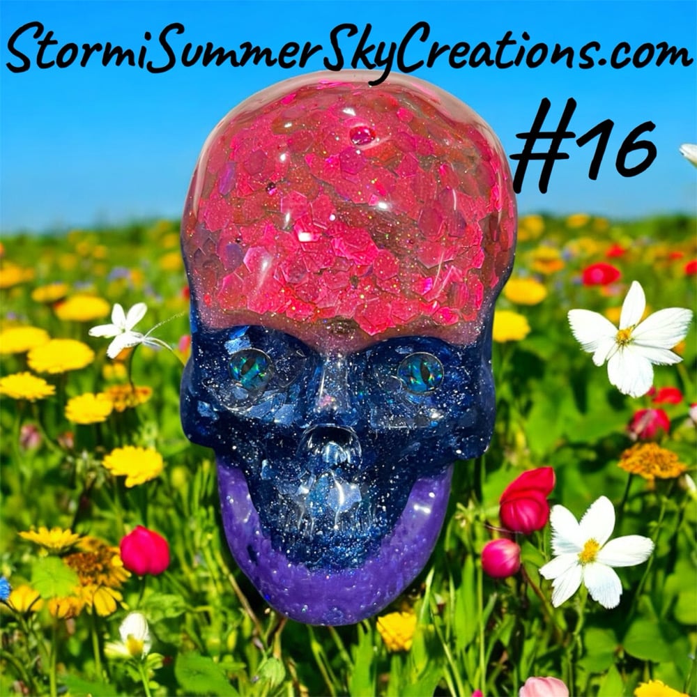 Image of Medium Sized Skulls