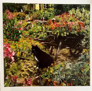 Image of Sitting Pretty