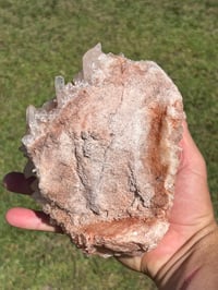 Image 9 of Pink Madagascar Quartz Cluster | Madagascar #2986