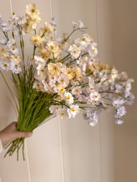 Image 1 of Wild Rose Bouquet ( Large or Small )