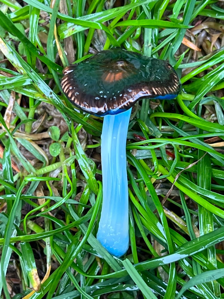 Image of Wavy Blue Staining Mushroom Pendant