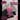 Pink Phantom Care Bear Clip