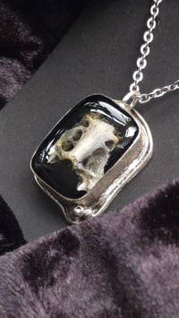Image 4 of Crow pelvic girdle pendant 