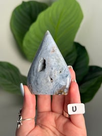 Image 21 of CHOOSE YOUR OWN SEA JASPER FLAME -MADAGASCAR-