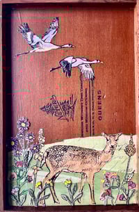 Image 2 of Oh Deer- Amy Rice