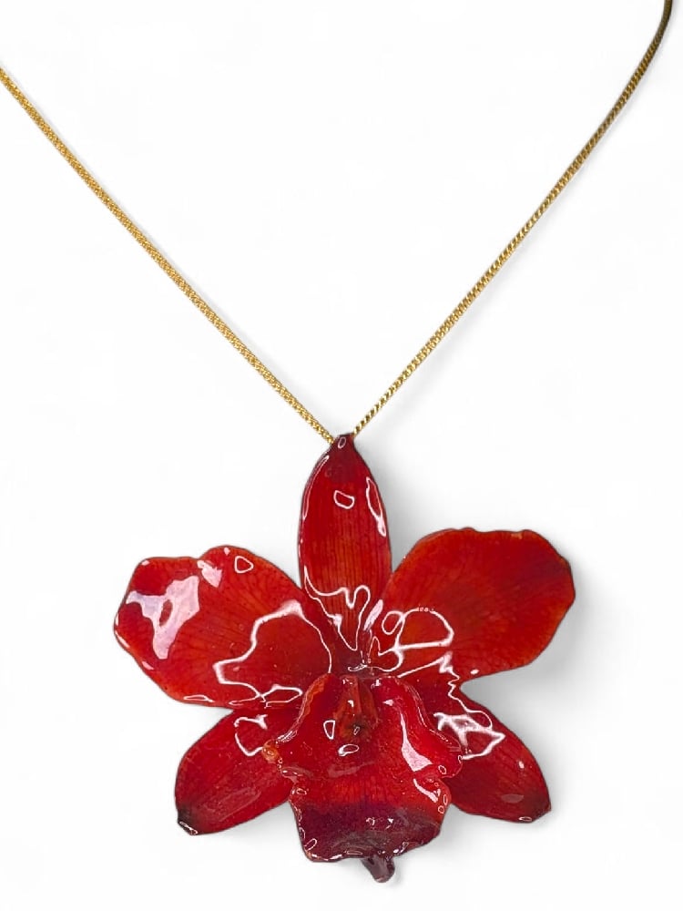 Image of Cattleya Orchid Brooch Pendant