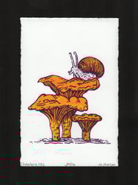Image 4 of Snail & Chanterelles
