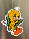 Mariposa Piolin Magnet Bundle