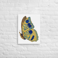Image 3 of Canvas of Butterfly
