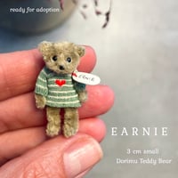 Image 1 of DORIMU MINIATURE TEDDY BEARS