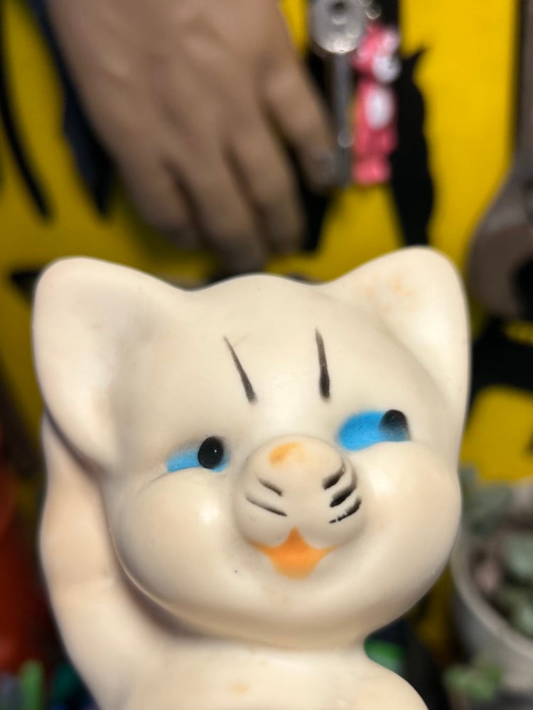 Image of Smug cat