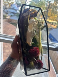 Image 3 of Fox Skull Coffin Terrarium 