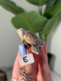 Image 5 of CHOOSE YOUR OWN MINI SOAPSTONE TURTLES