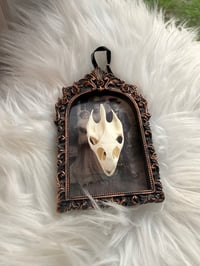 Image 1 of Haunted Turtle I