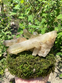 Image 1 of  Natural Smokey Citrine 