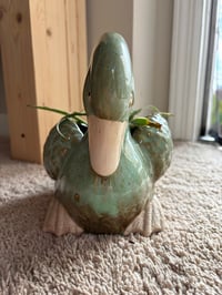 Image 3 of Earth Star in Green Duck