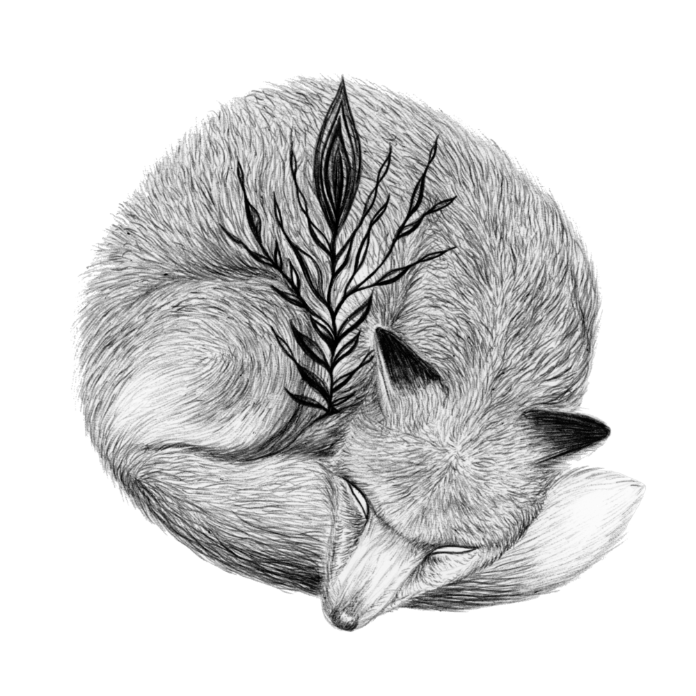 Image of Sleepy Fox