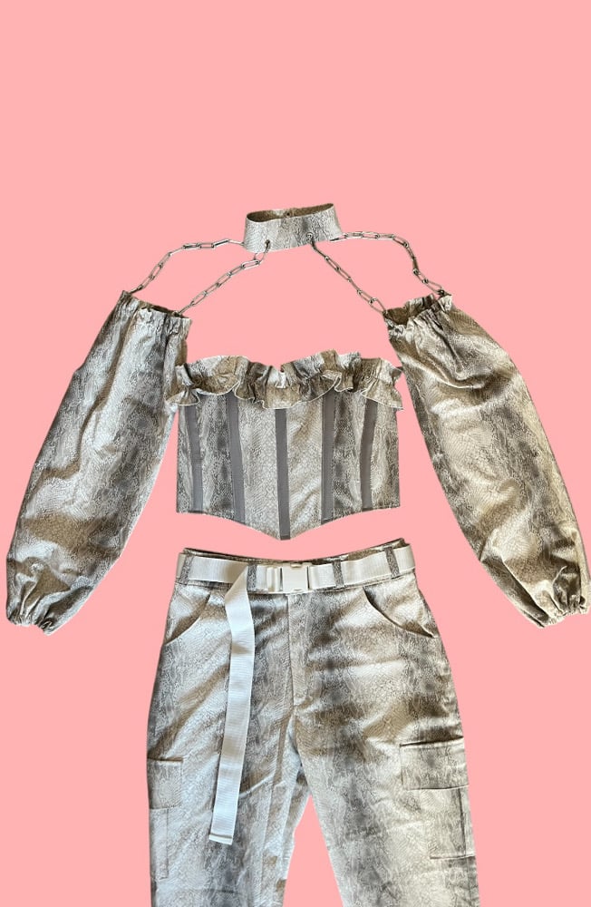 Image of Silver Snake corset