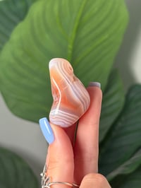 Image 1 of TUMBLED AGATE #12 -MALAWI-