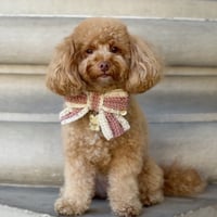 Image 1 of BEAR & BOW - SPECKLED BLUSH
