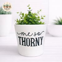 Me So Thorny Pot - White 14cm