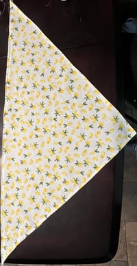 lemon dog bandana