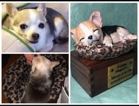 Image 17 of Custom Engraved Chihuahua Pet Urn Handpainted To Your Photos