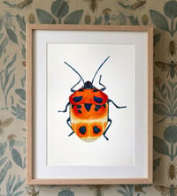 Image 4 of Camellia Shield Bug Art Print, Watercolor Shield Beetle Illustration, Insect Wall Decor