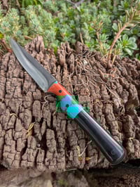 Image 2 of COMPANION #3