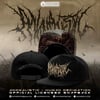 Anomalistic - Snapback