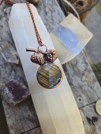 Image 2 of Electroformed Swamp Chestnut Oak acorn necklace 04