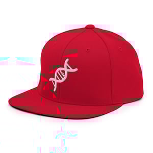 Image of In My DNA Snapback
