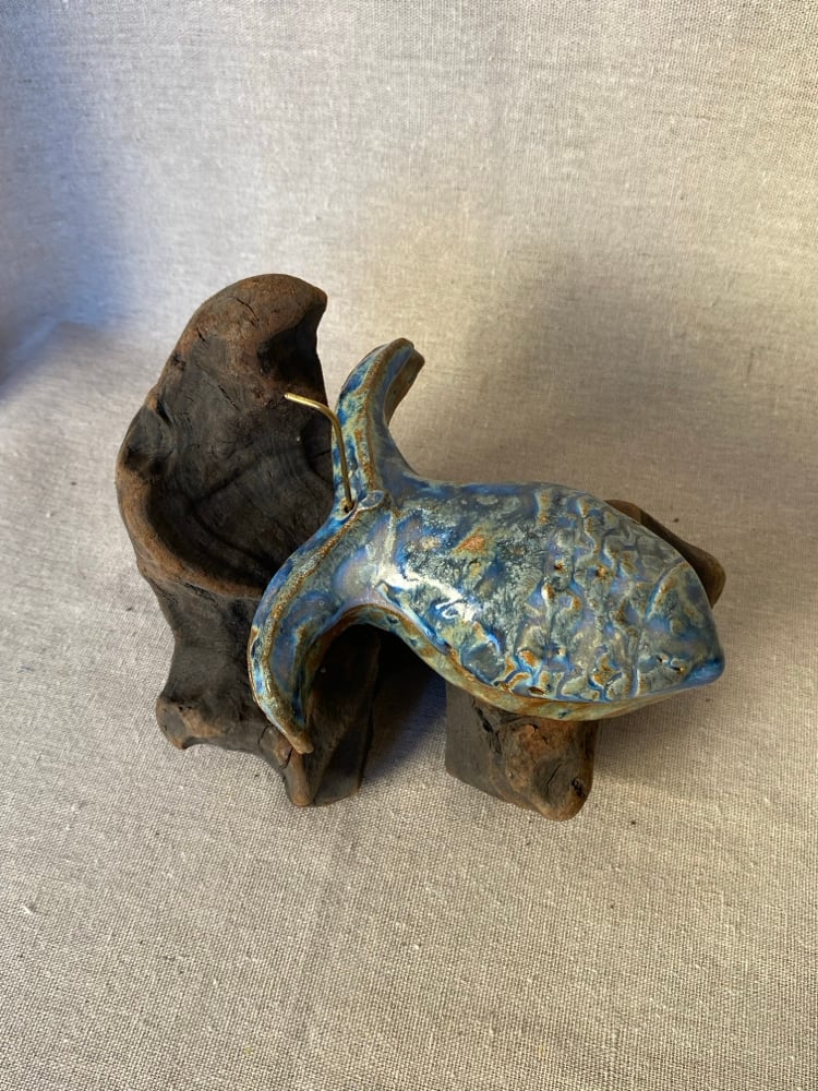 Image of Caja Pez II ~ Mensajeros del agua