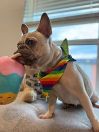 Image 1 of Pride Bandana