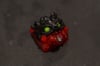 Poisoned apple Fughoul