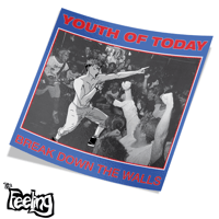 Image 3 of HC Album Crossover Leftovers